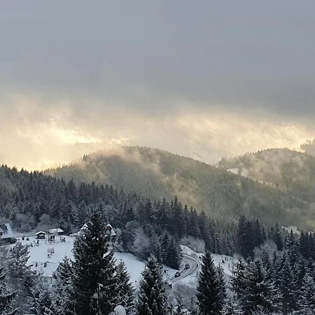 Nadgalerii Solan Apartment *