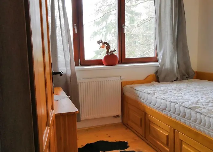 Lägenhet Nadgalerii Solan Velké Karlovice